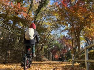 (谷津千元富士付近の歩行者自転車道)